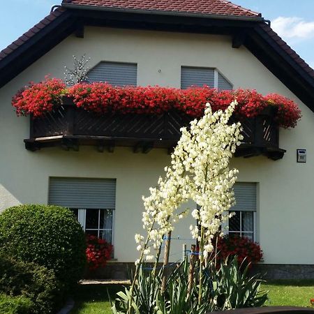 Studio Orchidee Weissig  Luaran gambar